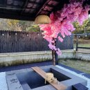 강릉료칸소돌향호 이미지