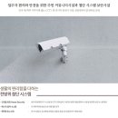 법무사안진완사무소