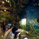 함평양서파충류생태공원 이미지