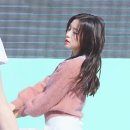 클린냥이 이미지