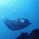 발리목욕탕 이미지