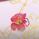 오일파스텔 이미지