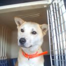 성웅농장 이미지