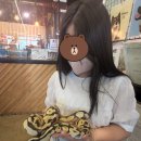 마리앤쥬(ZOO) 이미지