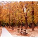 비원메드 이미지