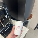 설렘헤어겔러리 | [부산 / 센텀] 센텀시티피부과 부산잡티, 기미제거 MTS 시술 2회차 후기, 가격