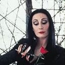 Addams Family. 이미지