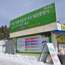 여정목장 티스토리