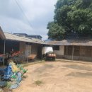 일로로이 이미지