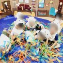 세정어린이집 이미지