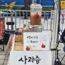 오르트 오란다