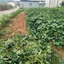 유석농장 이미지