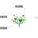 오에프투자자문 이미지