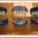 부평미치과의원 이미지