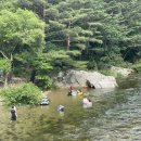 월학1리영농조합법인 | 강원도 계곡 캠핑장 추천! 넓고 깨끗한 곳 TOP3 가격, 예약방법, 오픈 등