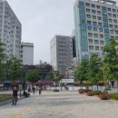 맘스동물약국 이미지
