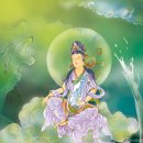 관음시장 이미지