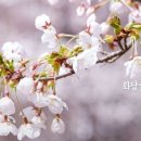 화담 곤지암 펜션 이미지