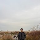 유람선터미널상가번영회 | 11월의 일상