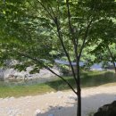 느티나무민박 이미지