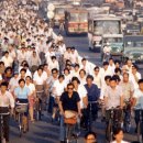 코덱스자전거 이미지