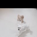 우다다 유치원 이미지