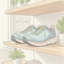 안방여관 | 호카 본디 9 클리프톤 10 사이즈 팁 및 착용감 비교 후기