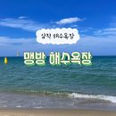 맹방해변로 | 삼척에 조용하고 넓은 해수욕장 [맹방 해수욕장] 구명조끼, 튜브, 파라솔 다녀온 후기