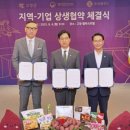 와이트라이브