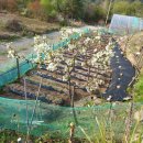 선애황토방 이미지