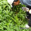 김수창농장 이미지