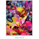 감천초등학교덕율분교 이미지