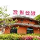 약선정 | 단양맛집 추천, 약선정식이 맛있는 장림산방 후기