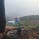 숲속 게르 하우스 이미지