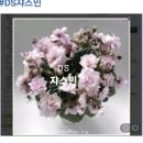 쟈스민PC 이미지