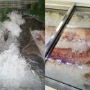 생생맛정식 | 인천 민어 맛집 민어횟집, 생생정보 나온 민어정식 한 상 후기