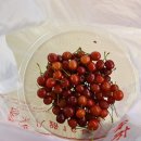 혼자 떠나는 칭다오 3박4일