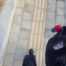 (주)오토프로 | [삼성전자 신입] 삼성 SVP 신입사원 연수 3주차 후기 -삼성화재 고양연수원