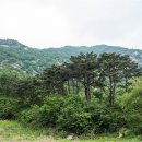 천태산주차장 네이버블로그