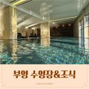 (주)선진실내건축 | 제주도 아기랑 리조트 부영호텔&amp;리조트 실내수영장 준비물 조식 가격 솔직후기