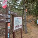 북영덕농협 축산항지점 이미지