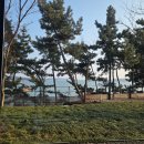 GR(태안군)-[근흥로]-상-2 | 무이림 6번방을 곁들인 1박 2일 태안 여행