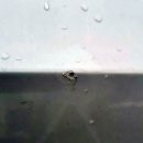 BM모터스 이미지