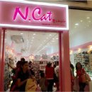 못된고양이 이미지