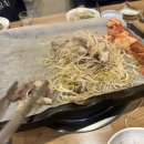 마두차돌백이