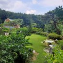 분당-250 이미지