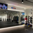 88GYM 이미지