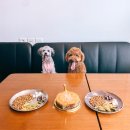 델꾸와식빵