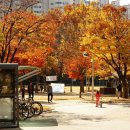 화랑체육공원 운동시설 이미지