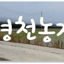 금호읍-신월리-8